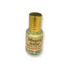 Shivika Mogra Attar
