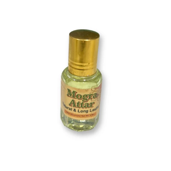 Shivika Mogra Attar